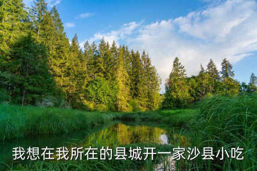 我想在我所在的縣城開一家沙縣小吃