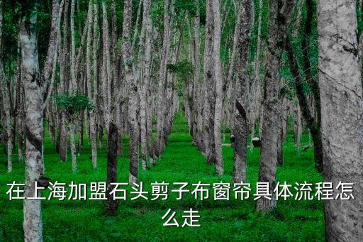 在上海加盟石頭剪子布窗簾具體流程怎么走