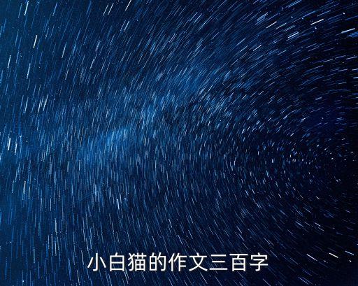 小白貓的作文三百字