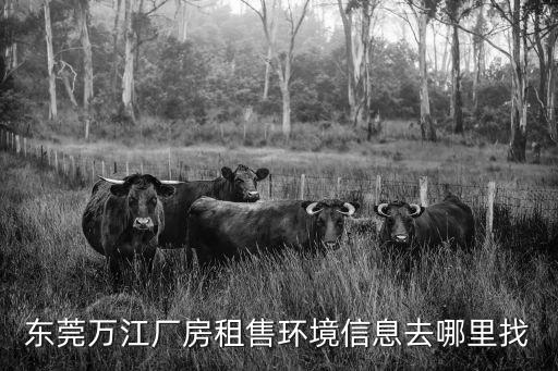 東莞萬江廠房租售環境信息去哪里找