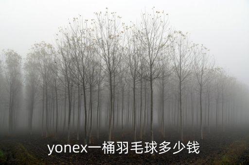尤尼克斯羽毛球，尤尼克斯那款羽毛球又便宜又耐打除了塑料球