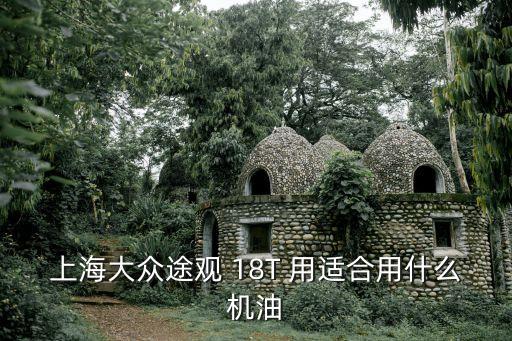 上海大眾途觀 18T 用適合用什么機油