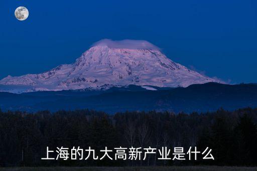 上海弘連網(wǎng)絡(luò)是上海市高新企業(yè)，上海的九大高新產(chǎn)業(yè)是什么