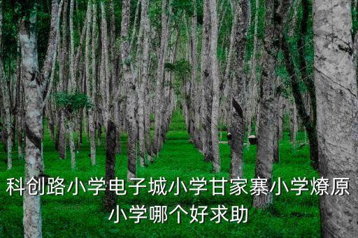科創(chuàng)路小學(xué)電子城小學(xué)甘家寨小學(xué)燎原小學(xué)哪個(gè)好求助