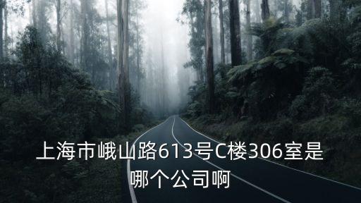 上海市M昊實業(yè)，上海市峨山路613號C樓306室是哪個公司啊