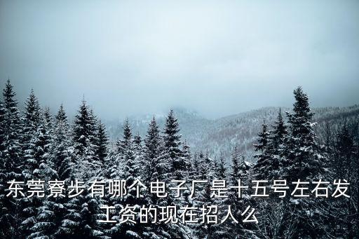 東莞市寮步艾天電子，東莞寮步有哪個電子廠是十五號左右發工資的現在招人么