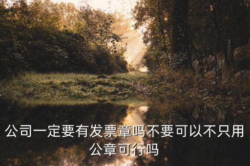 公司一定要有發票章嗎不要可以不只用公章可行嗎