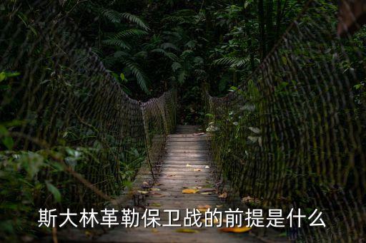 斯大林革勒保衛戰的前提是什么