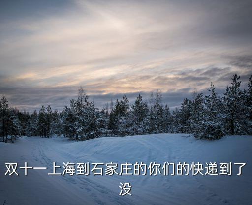 雙十一上海到石家莊的你們的快遞到了沒