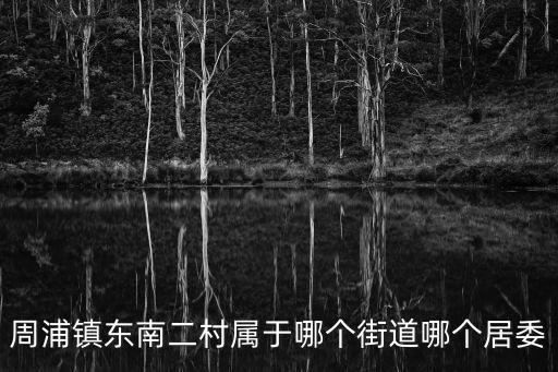 周浦鎮(zhèn)東南二村屬于哪個街道哪個居委