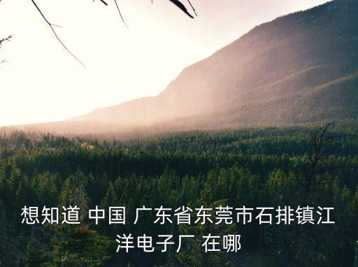 東莞石排鎮電子廠，石排桂達電子廠位于哪里