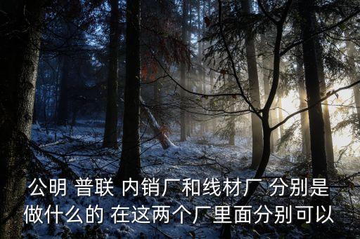 公明 普聯 內銷廠和線材廠 分別是做什么的 在這兩個廠里面分別可以