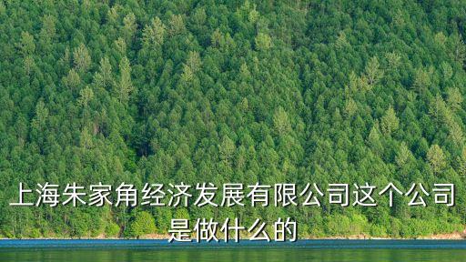 上海朱家角經(jīng)濟(jì)發(fā)展有限公司這個(gè)公司是做什么的