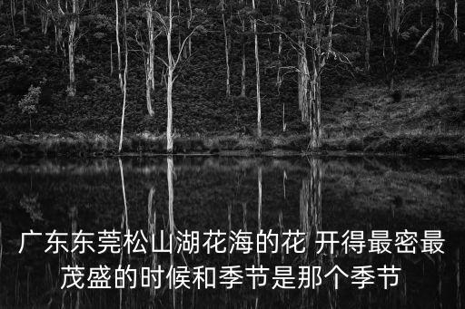 廣東東莞松山湖花海的花 開(kāi)得最密最茂盛的時(shí)候和季節(jié)是那個(gè)季節(jié)
