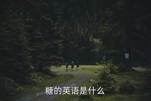 糖的英語，糖的英語是什么