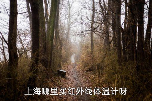 上海哪里買紅外線體溫計呀