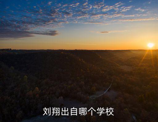 劉翔出自哪個學校