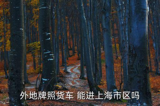 外地牌照貨車 能進上海市區嗎