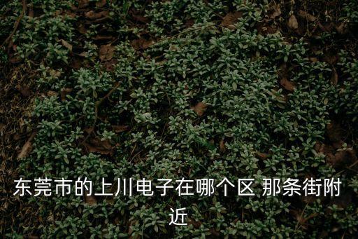 東莞市的上川電子在哪個區 那條街附近