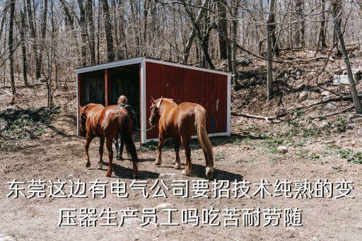 東莞鑫電能源有限公司招聘，東莞這邊有電氣公司要招技術(shù)純熟的變壓器生產(chǎn)員工嗎吃苦耐勞隨