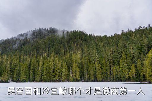 吳召國在中國排第幾，吳召國和冷宜峻哪個才是微商第一人