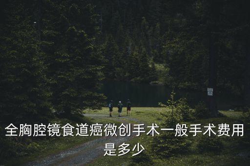 全胸腔鏡食道癌微創(chuàng)手術一般手術費用是多少