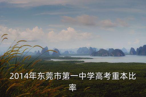 2014年東莞市第一中學(xué)高考重本比率