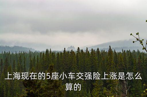 上海市交強險計算，上海現在的5座小車交強險上漲是怎么算的