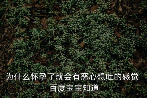 為什么懷孕了就會有惡心想吐的感覺  百度寶寶知道