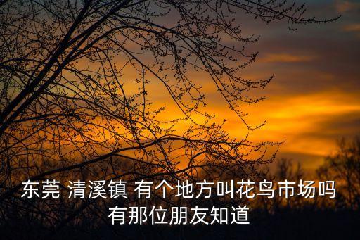 東莞清溪鎮有雞苗賣嗎，東莞附近哪里有賣雞苗