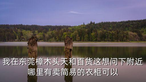 我在東莞樟木頭天和百貨這想問下附近哪里有賣簡易的衣柜可以