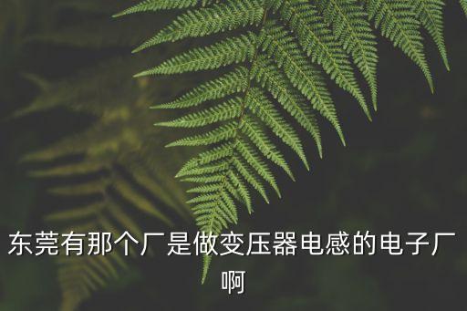 東莞有那個廠是做變壓器電感的電子廠啊