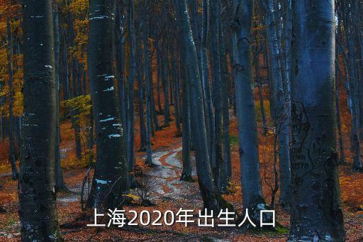 上海2020年出生人口