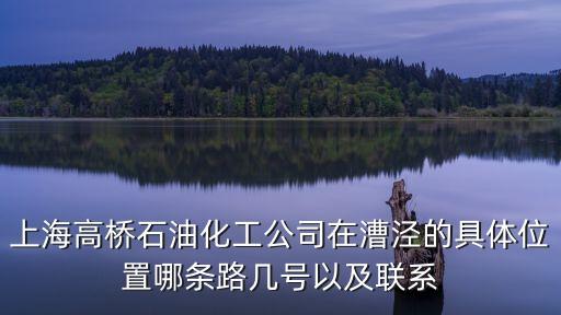上海高橋石油化工公司在漕涇的具體位置哪條路幾號以及聯(lián)系