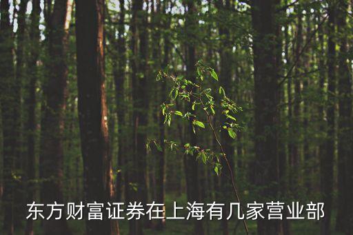 上海市券商營業部，東方財富證券在上海有幾家營業部