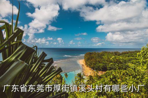 廣東省東莞市厚街鎮溪頭村有哪些小廠