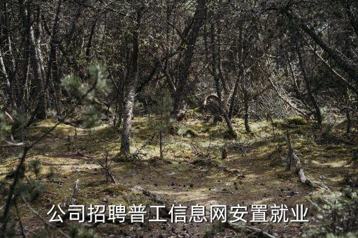 東莞鑫電能源有限公司招聘信息，東莞這邊有電氣公司要招技術(shù)純熟的變壓器生產(chǎn)員工嗎吃苦耐勞隨