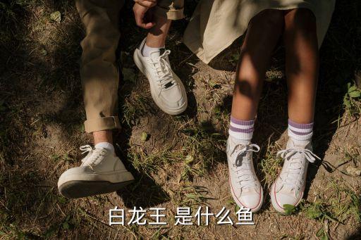 龍宮使者，問道里面龍宮地圖怎么去