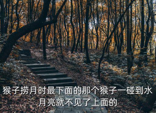 猴子撈月圖片，猴子撈月時最下面的那個猴子一碰到水月亮就不見了上面的