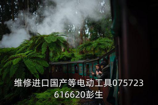 維修進口國產等電動工具075723616620彭生