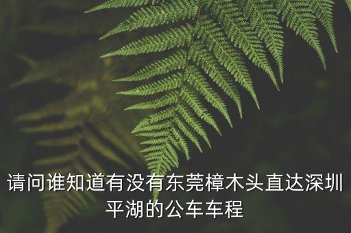 請問誰知道有沒有東莞樟木頭直達深圳平湖的公車車程