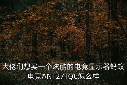 螞蟻電競(jìng)，螞蟻電競(jìng)是什么牌子