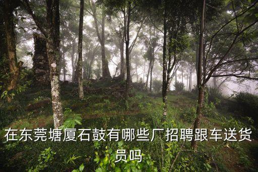 在東莞塘廈石鼓有哪些廠招聘跟車送貨員嗎
