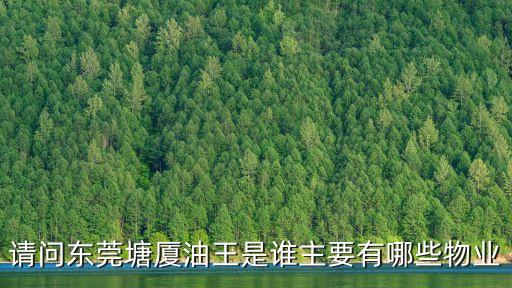 請問東莞塘廈油王是誰主要有哪些物業