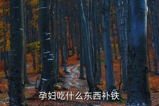 孕婦吃什么東西補鐵