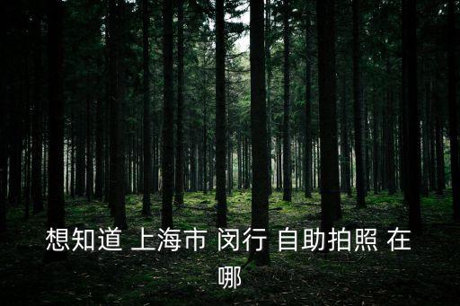 想知道 上海市 閔行 自助拍照 在哪