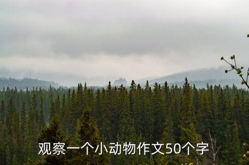 觀察一個(gè)小動(dòng)物作文50個(gè)字