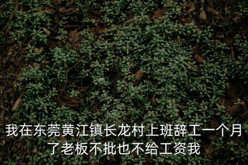 東莞黃江長龍超市火災，122 東莞南城區火災