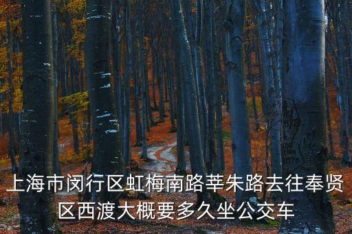 上海市虹梅南路隧道有公交車嗎，上海虹梅南路附近有哪些公交車