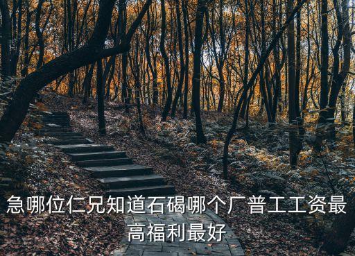 急哪位仁兄知道石碣哪個(gè)廠普工工資最高福利最好